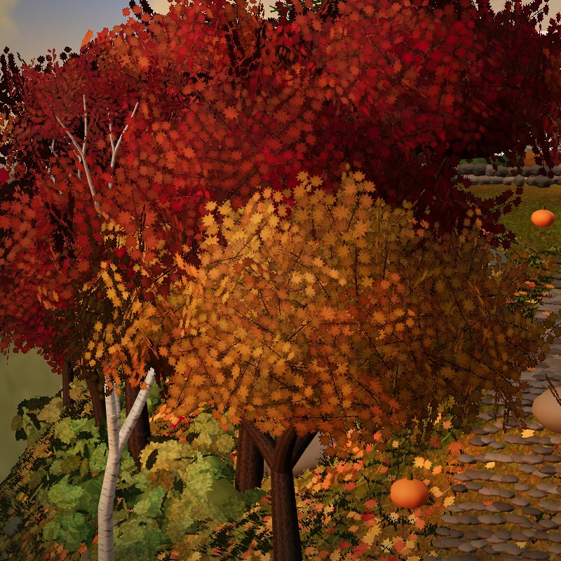 Orange and red maples at golden hour, with pumpkins on the lawn